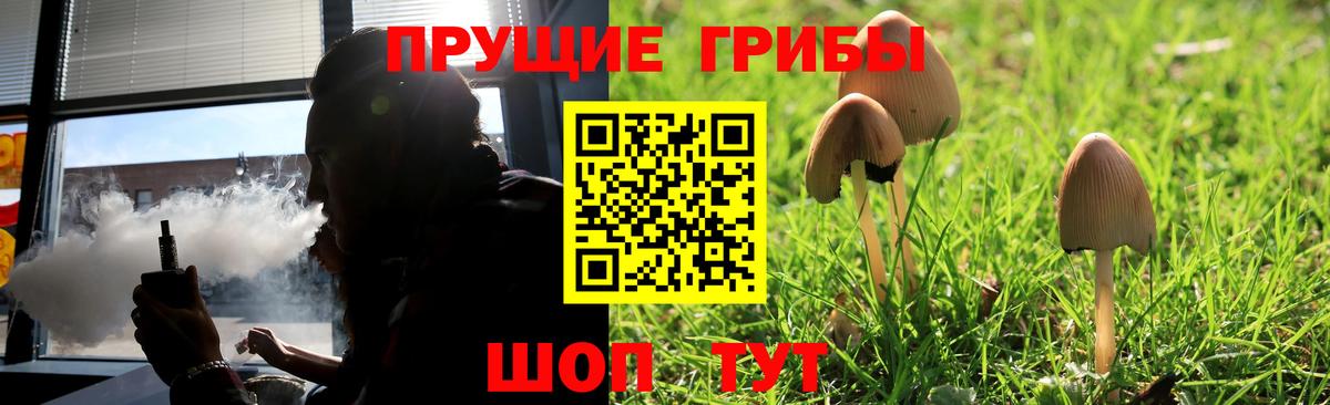 Псилоцибиновые грибы Psilocybine cubensis  Вход с VPN  Новошахтинск 